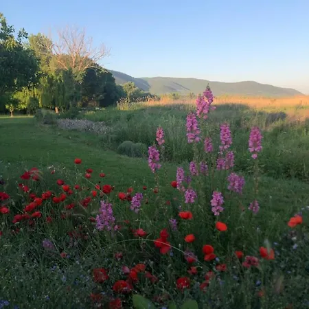 Holiday home On Iznik With Its Own Private